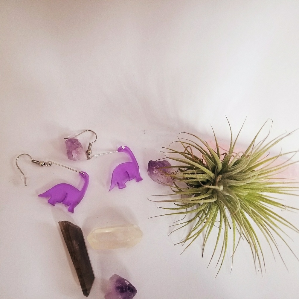 acrylic earrings